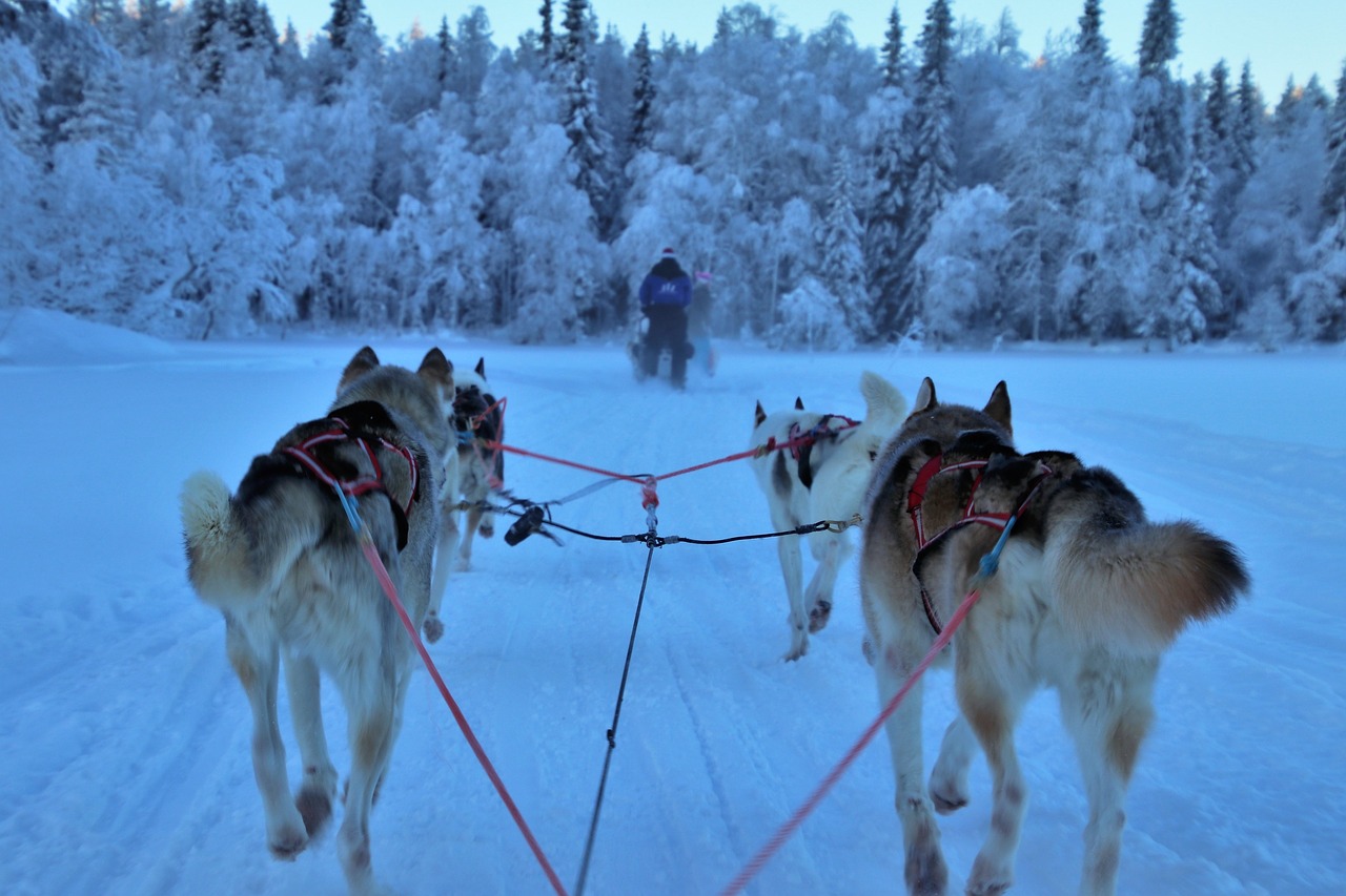 Little Known Winter Sports